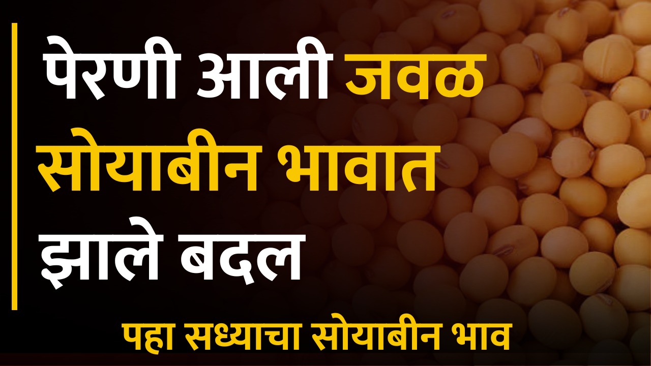 soybean rate today in latur