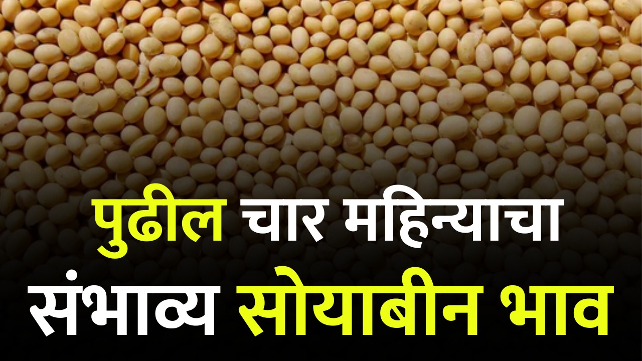 soyabean rate today