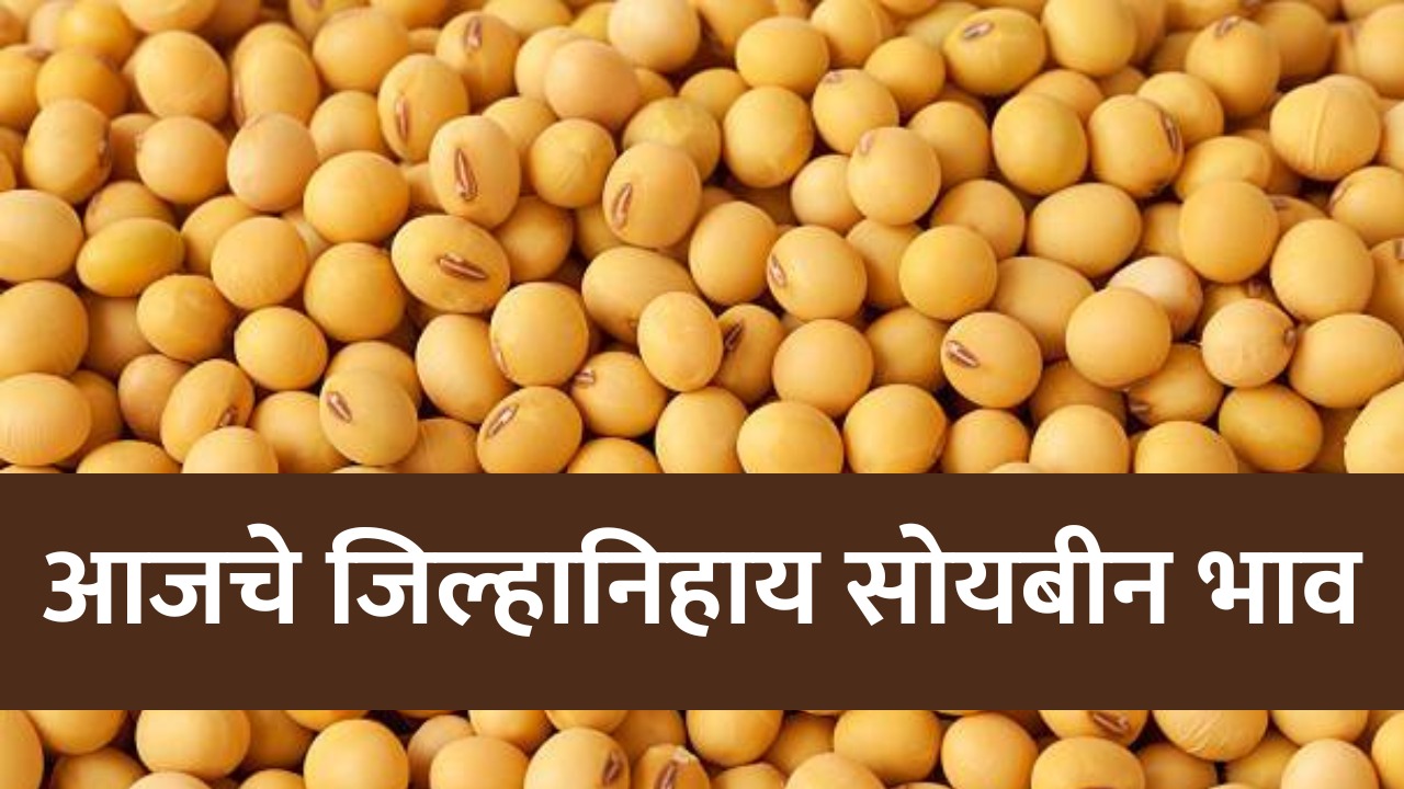 soybean rate today maharashtra