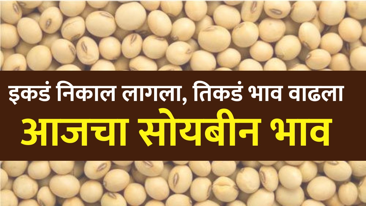 soybean rate today maharshtra