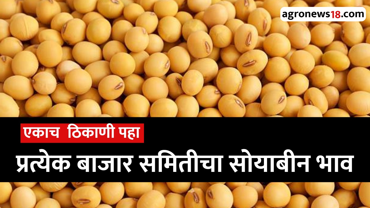 soybean rate today bajar samiti